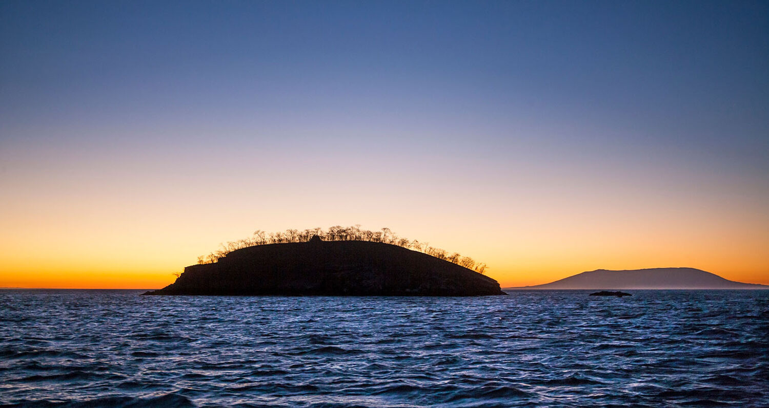 PlaceholderImage1302